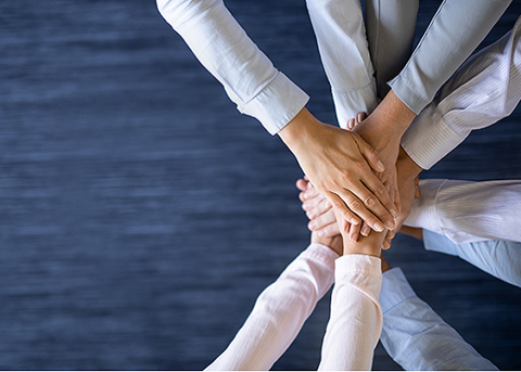 Partner Organisation 560X400